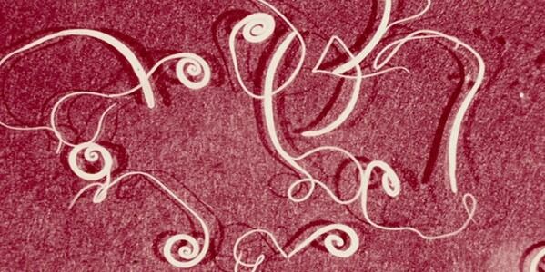 Адамның паразиттерінің суреті