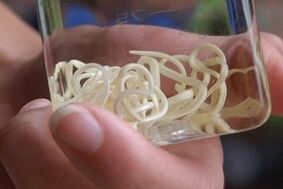 адам денесінен паразиттер